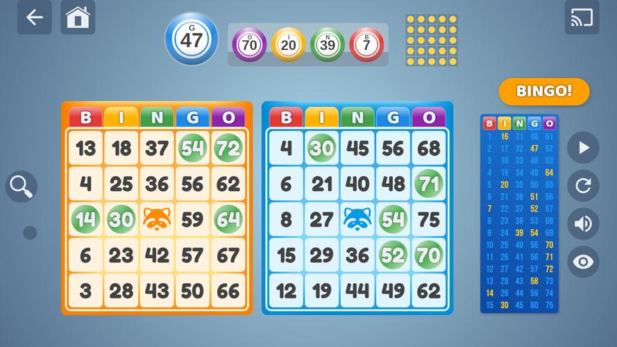 Bingo Set स्क्रीनशॉट 0