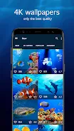 Underwater Wallpapers 4K Captura de pantalla 1