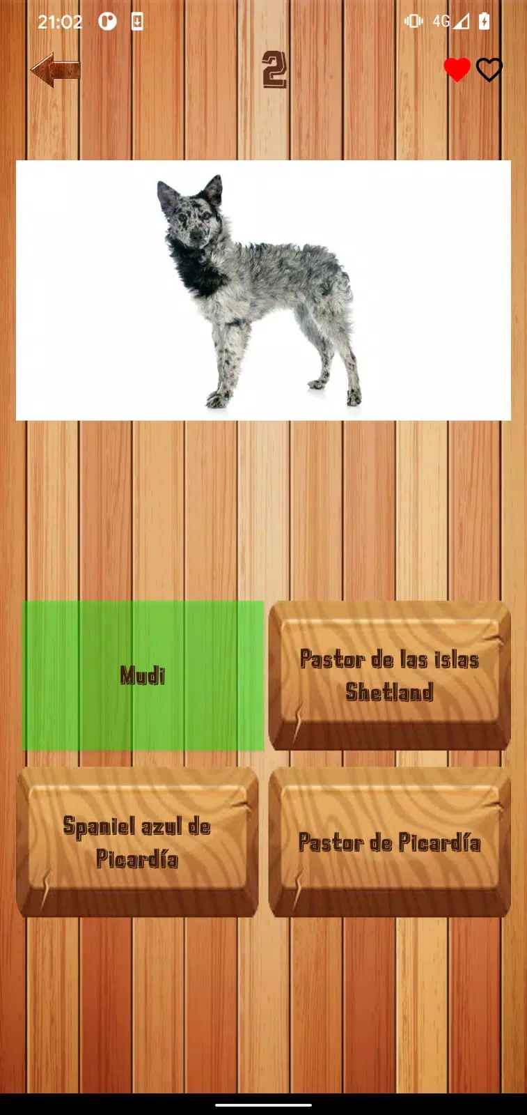 Guess dog breed Screenshot 1