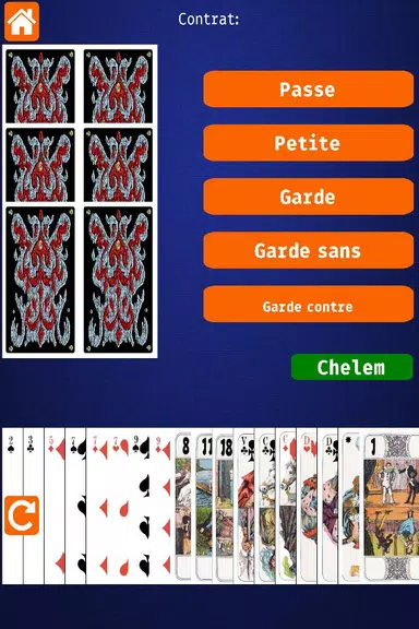 Net.Tarot Capture d'écran 1