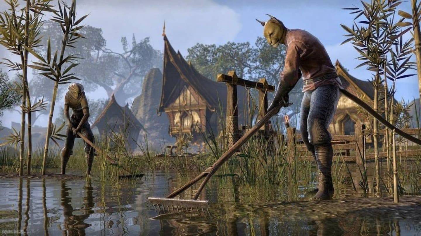 Gamer chi 100.000 đô la cho vai trò của Elder Scrolls VI