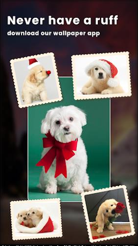 Puppy Love: Cute Dog Wallpaper ภาพหน้าจอ 1