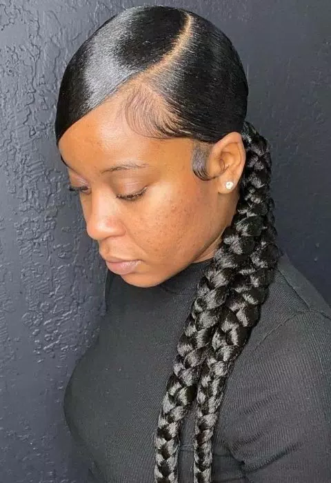 Sleek Braided Ponytail Styles Screenshot 0