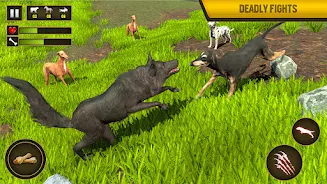 Wild Dog Pet Simulator Games Screenshot 3