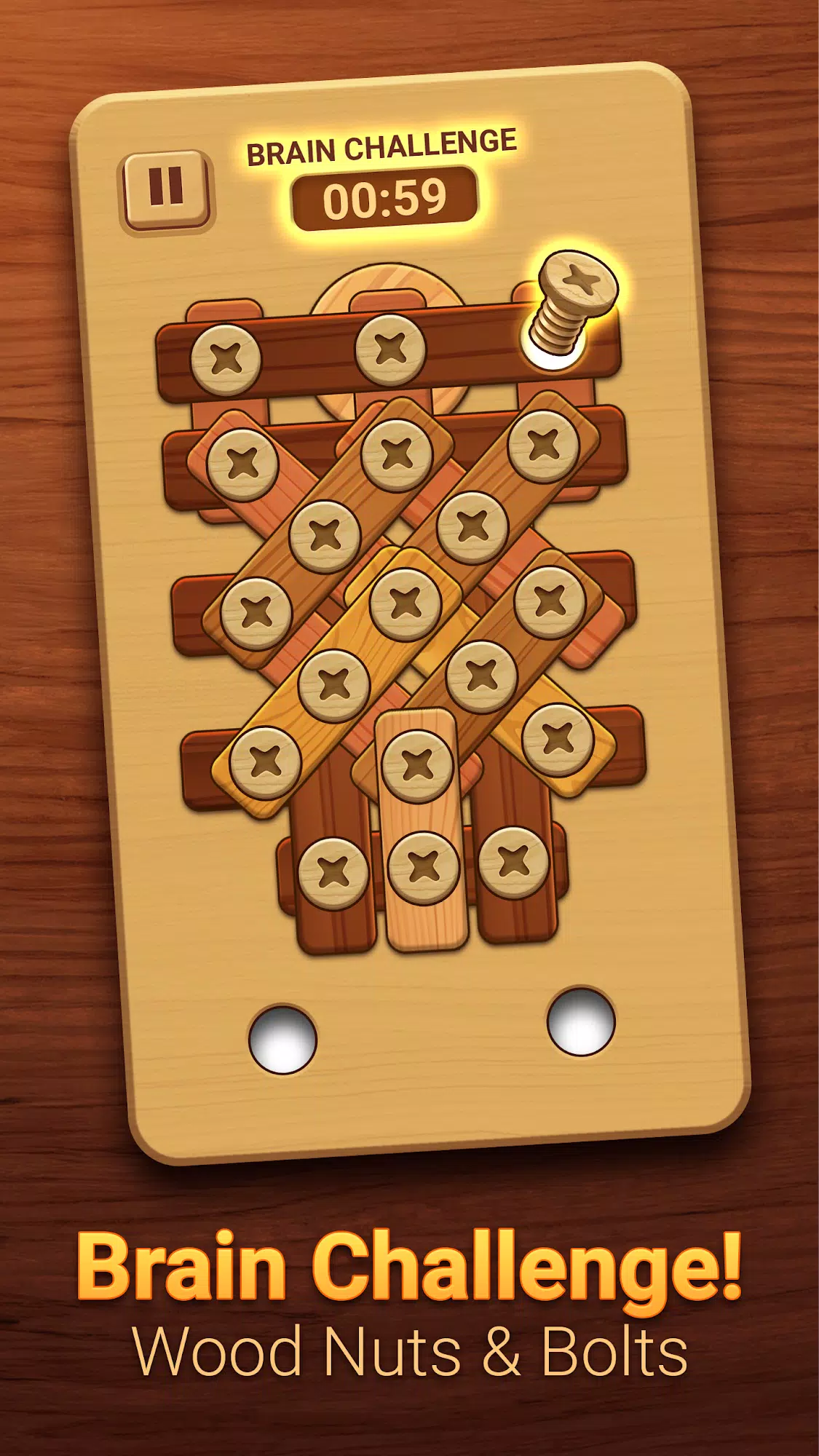 Woodle - Wood Screw Puzzle Скриншот 2