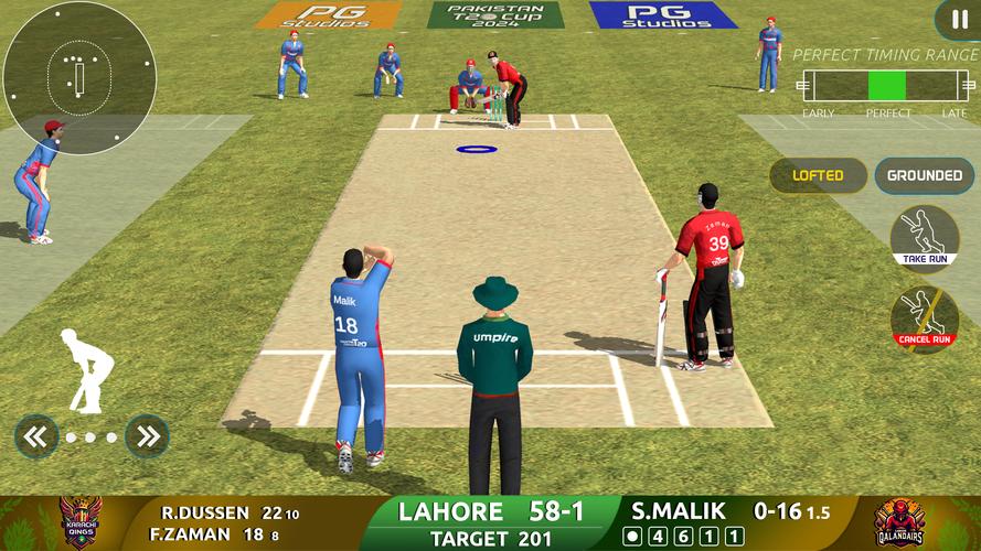 Cricket Game: Pakistan T20 Cup应用截图第0张