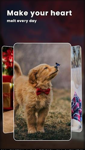 Puppy Love: Cute Dog Wallpaper स्क्रीनशॉट 2