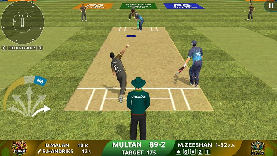 Cricket Game: Pakistan T20 Cup应用截图第1张