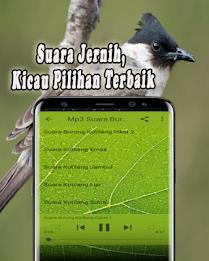 Suara Burung Kutilang Offline Скриншот 3