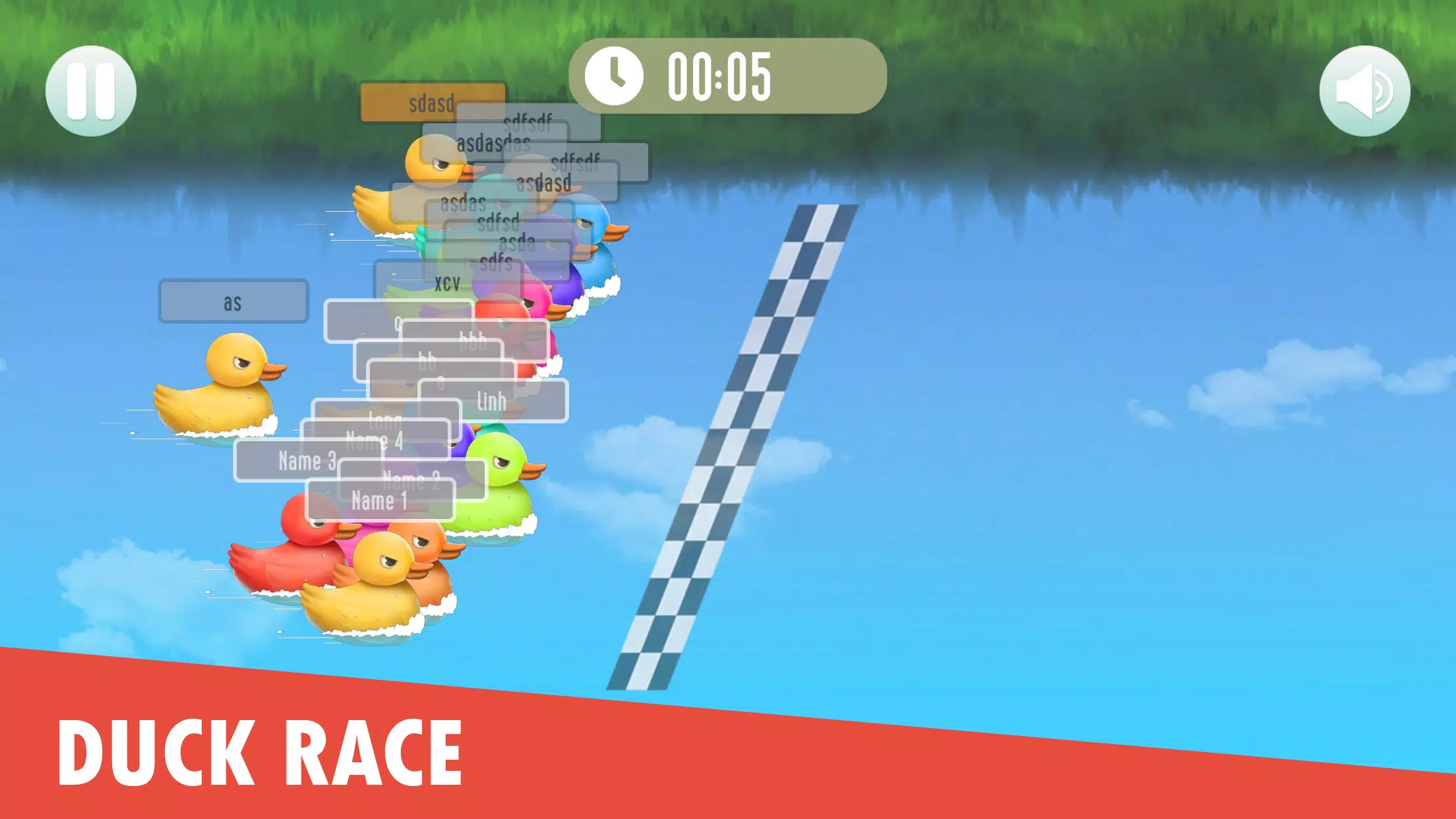 Duck Race: Name Picker Schermafbeelding 0
