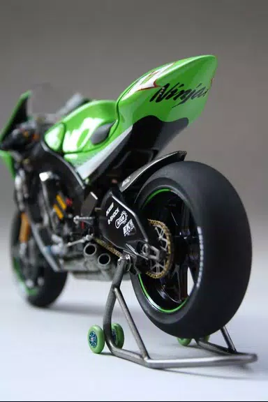 Kawasaki Ninja ZX10r Wallpaper應用截圖第1張