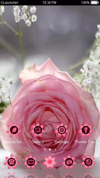 Pretty Pink Rose Theme Capture d'écran 2