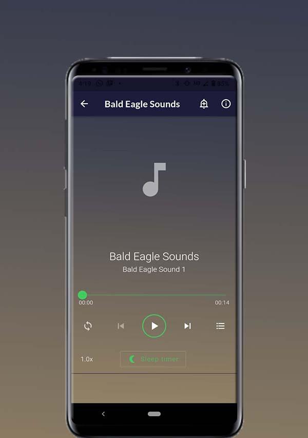 Bald Eagle Sounds স্ক্রিনশট 1