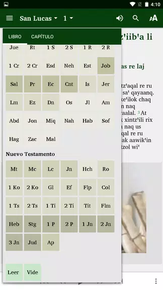 Kekchi Bible (official orth)应用截图第3张