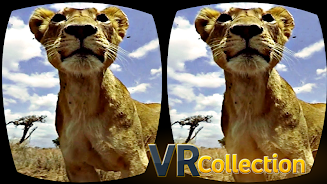 Pack of VR videos Captura de pantalla 2