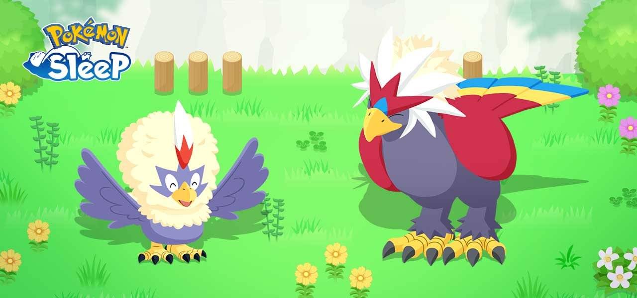 Pokemon Sleep adds Rufflet and Braviary to your dreamy encounters this January