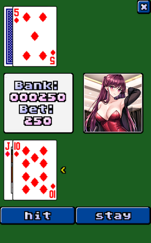 video blackjack স্ক্রিনশট 2