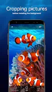 Underwater Wallpapers 4K Captura de pantalla 3