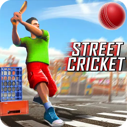 Street Criket-T20 Cricket Game