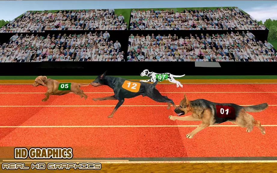 Dog racing games - dog game 3d Screenshot 2