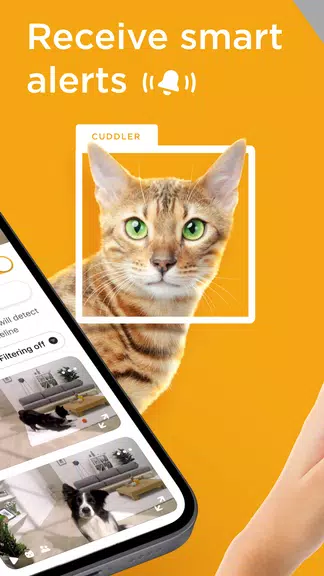 Petcube Screenshot 1