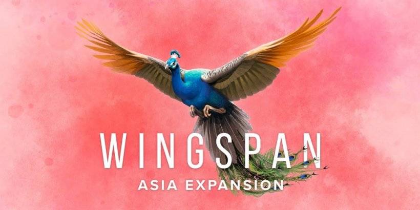 Wingspan berkembang ke Asia Musim panas ini