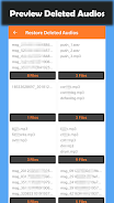 Deleted Audio Recovery Ekran Görüntüsü 2