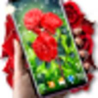 Red Rose Live Wallpaper