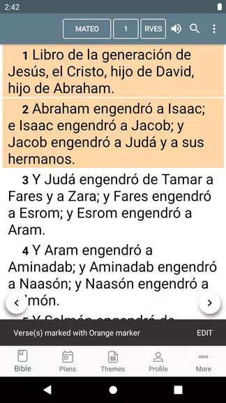 Bible Reina Valera Captura de pantalla 0