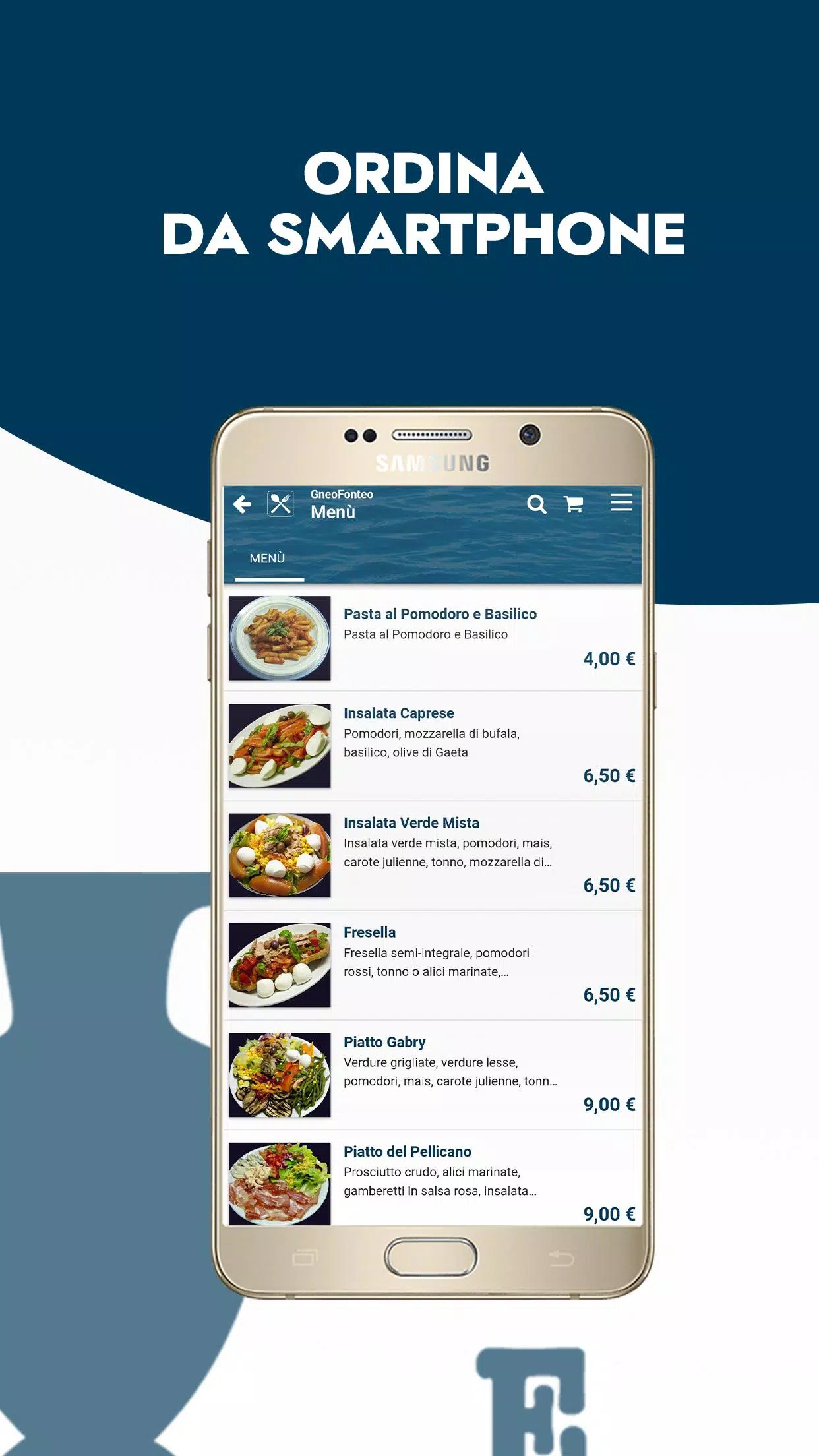 Gneo Fonteo স্ক্রিনশট 1