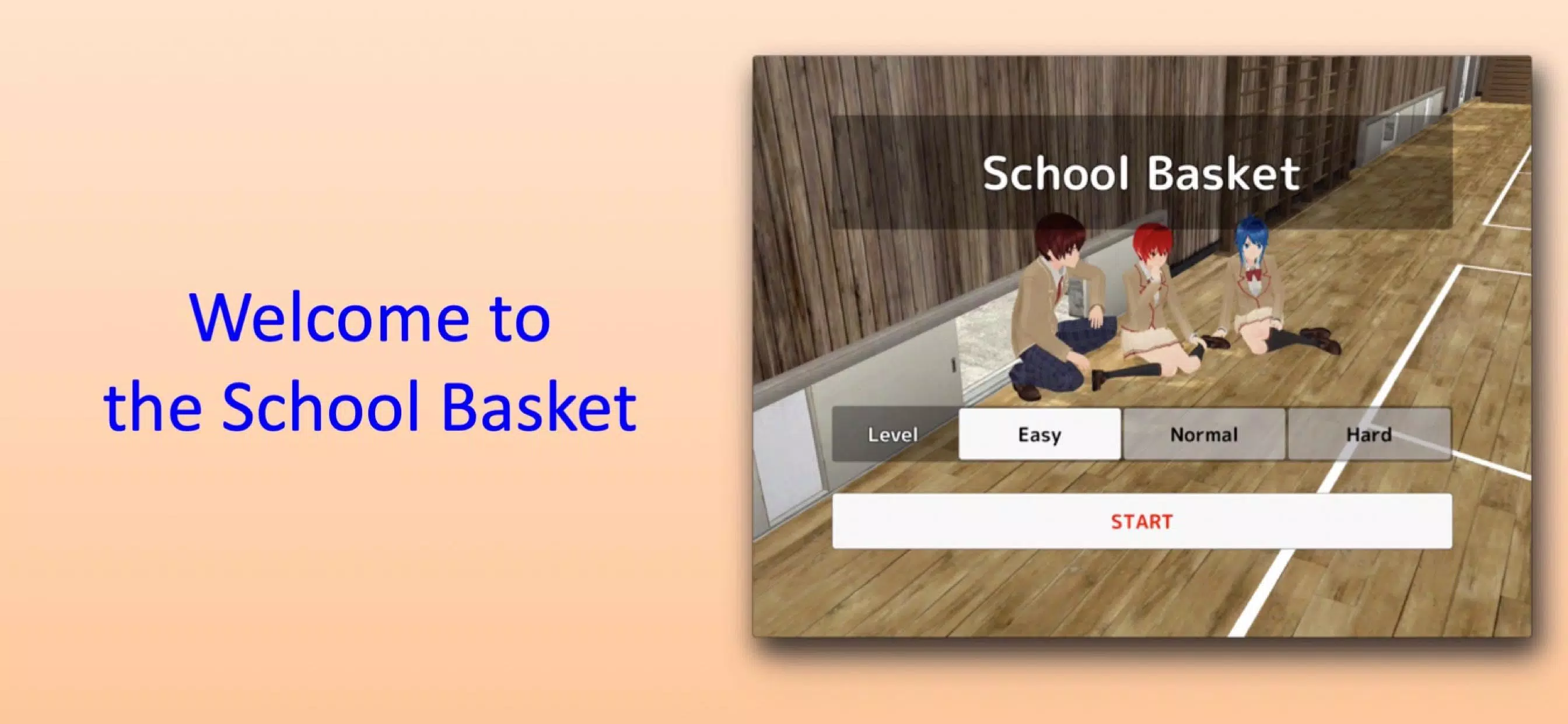 School Basket 스크린샷 0