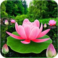 Flower Live Wallpaper 3D