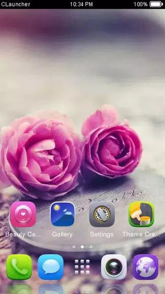 Pink Roses Theme C Launcher Zrzut ekranu 2