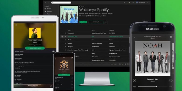 Spotify Vanced Screenshot 0