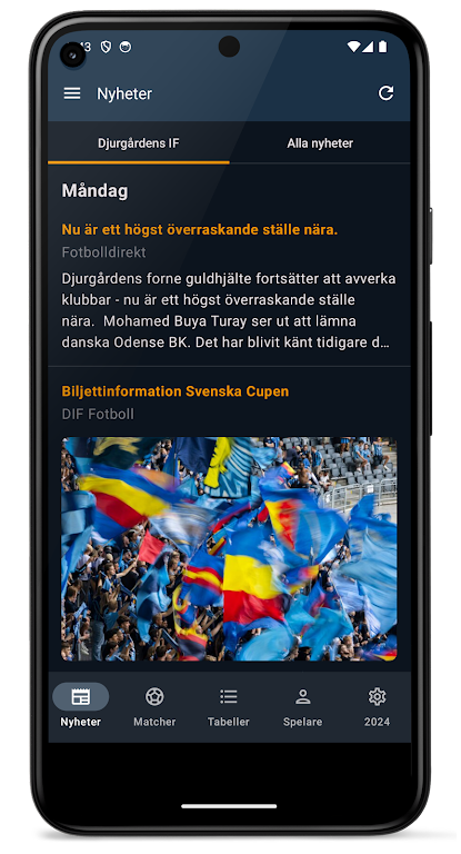 Allsvenskan 2024 스크린샷 0