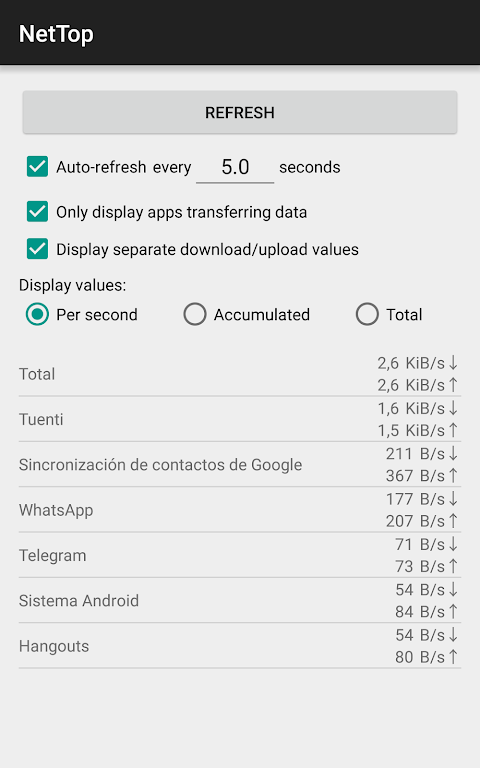 NetTop: RealTime Network Meter Screenshot 1