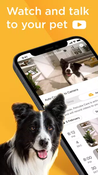 Petcube Screenshot 0