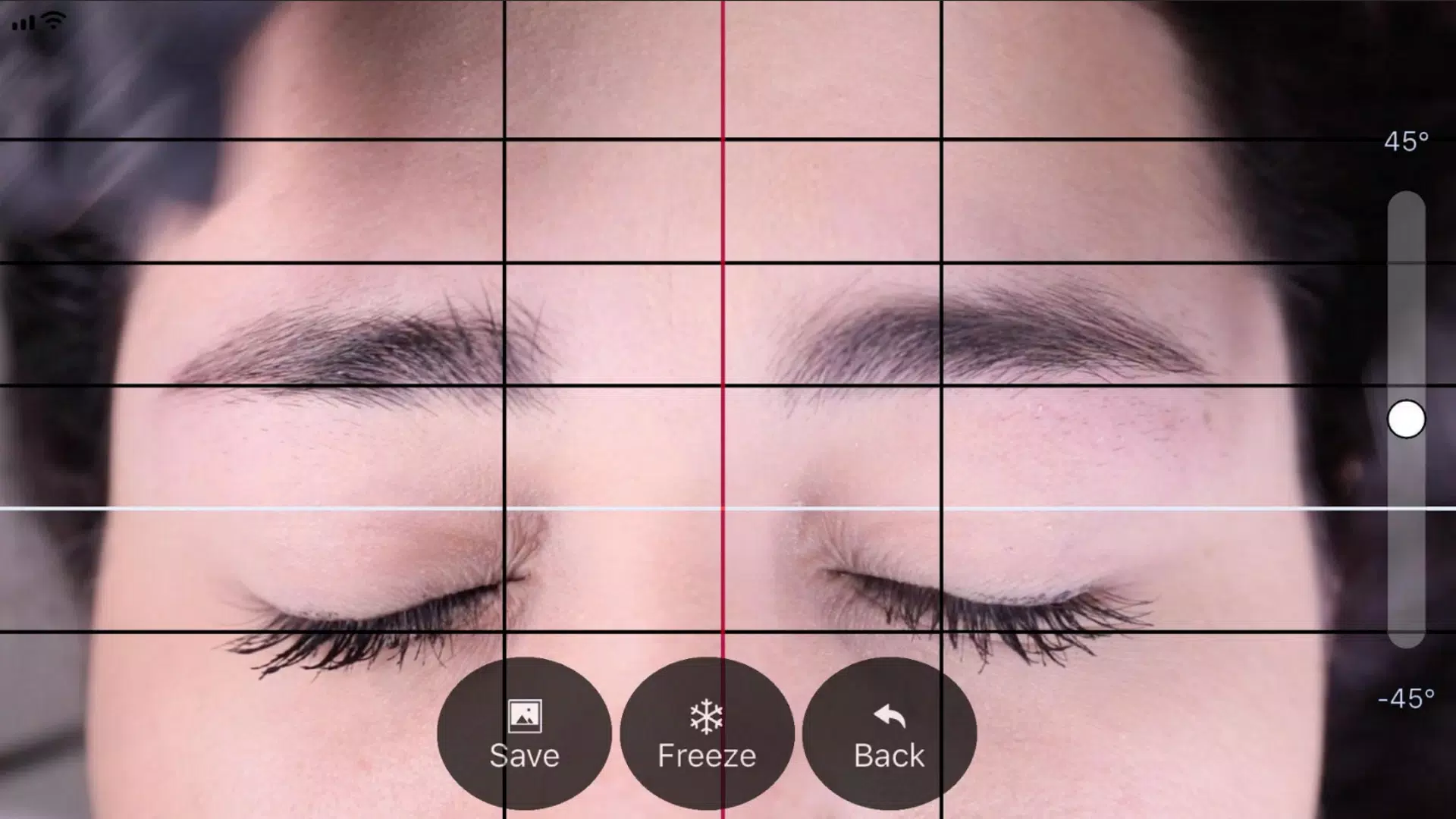 BeautyPro Symmetry App Interna Screenshot 0