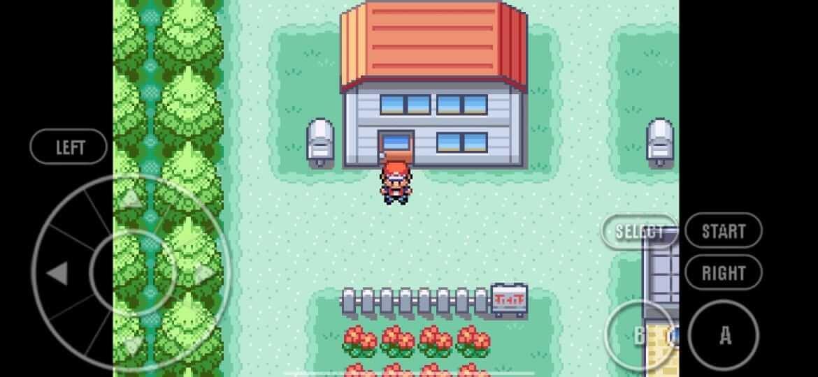 Pokemon Fire Red স্ক্রিনশট 0