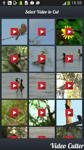 Video Cutter : Video Trimmer應用截圖第3張