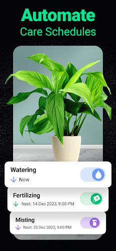 Plantum - Plant Identifier Screenshot 2