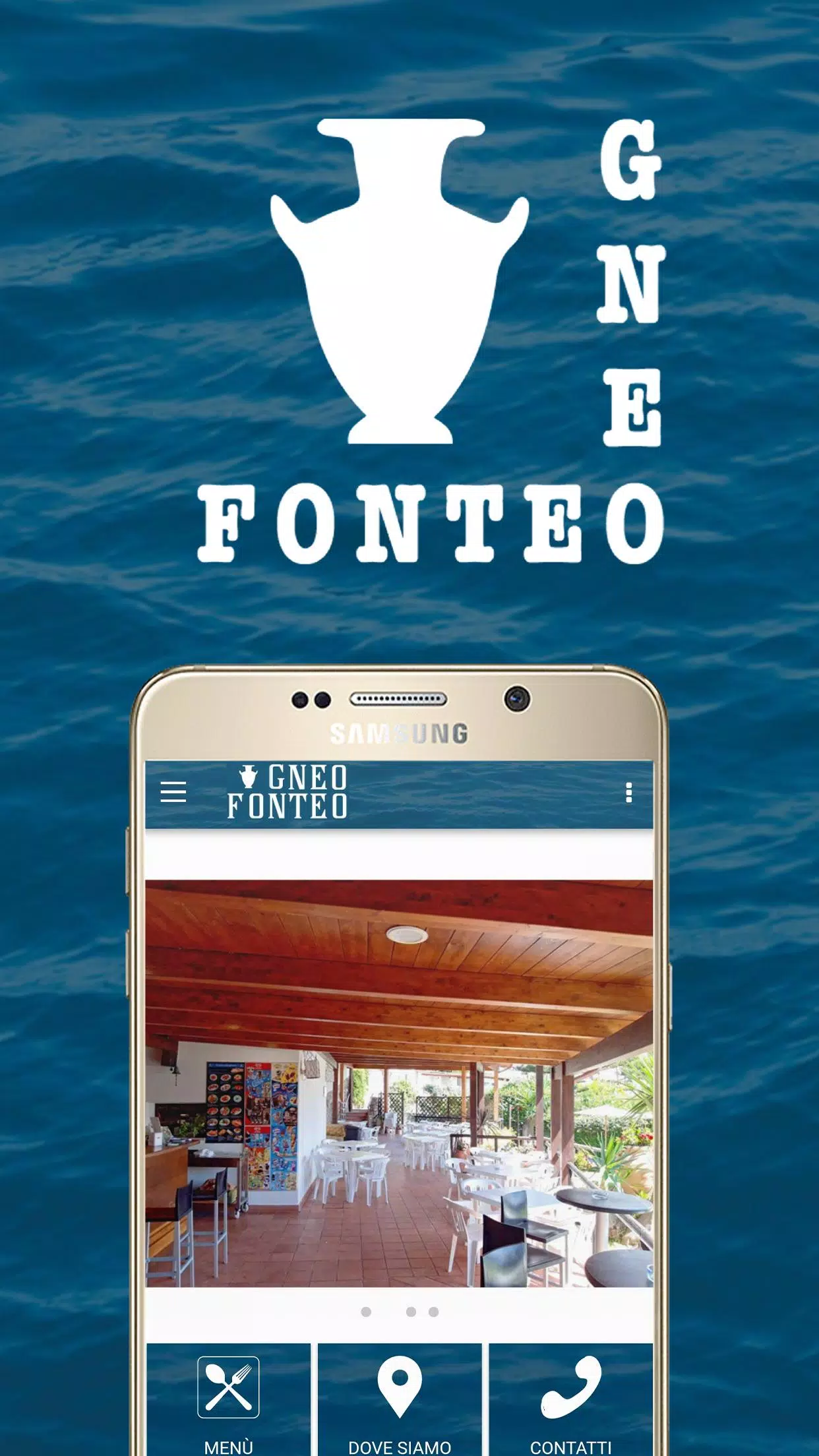 Gneo Fonteo স্ক্রিনশট 0