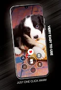 Puppies Wallpapers in 4K 스크린샷 1