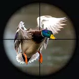 Duck Hunting Wild Adventure