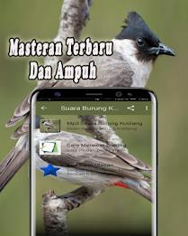 Suara Burung Kutilang Offline ဖန်သားပြင်ဓာတ်ပုံ 1