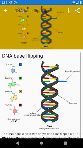 Molecular biology應用截圖第3張