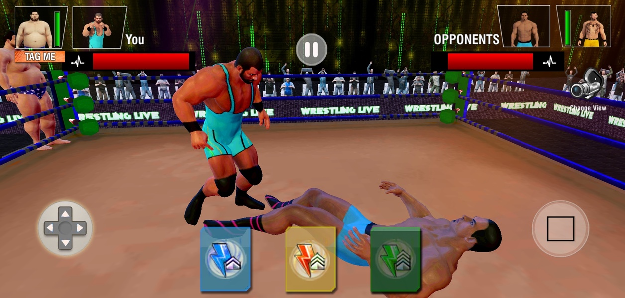 Tag Team Wrestling Game 스크린샷 1