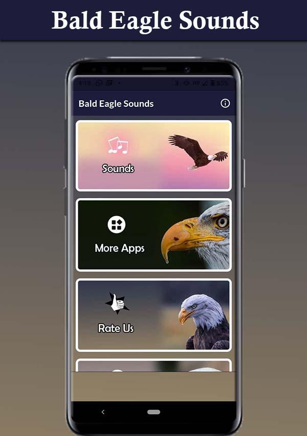 Bald Eagle Sounds স্ক্রিনশট 2