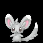 Minccino