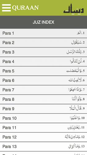 Quraan-E-Karim  (15 Lines) Capture d'écran 3